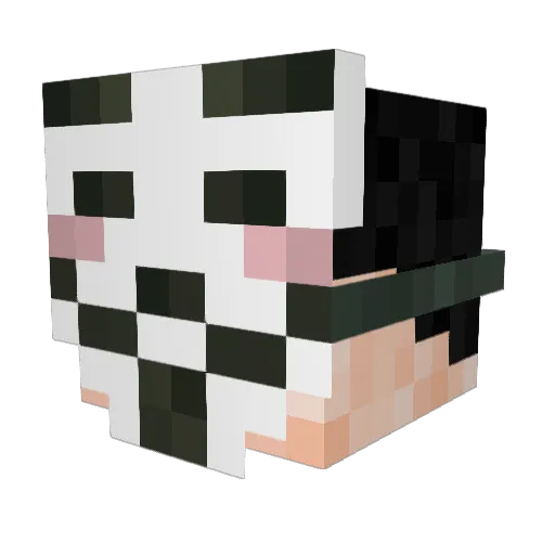 softdirtytinpunk Minecraft avatar head, 3D render