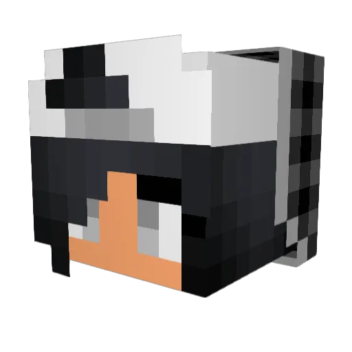 softenic Minecraft avatar head, 3D render