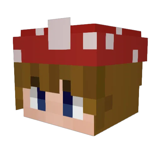 softersauce101 Minecraft avatar head, 3D render