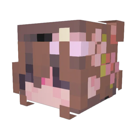 softestgloom Minecraft avatar head, 3D render