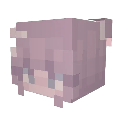 softieyn Minecraft avatar head, 3D render