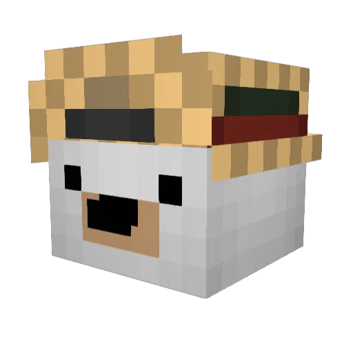 softjannes Minecraft avatar head, 3D render