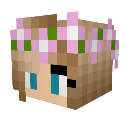 softkitty2000 Minecraft avatar head, 3D render