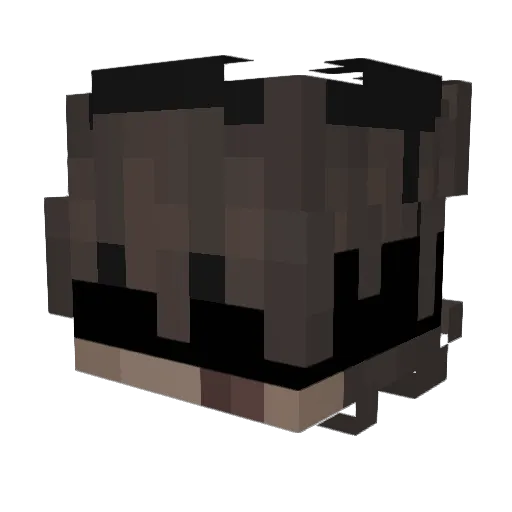 softlionkkkk Minecraft avatar head, 3D render