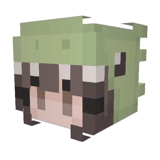 softlyethereal Minecraft avatar head, 3D render