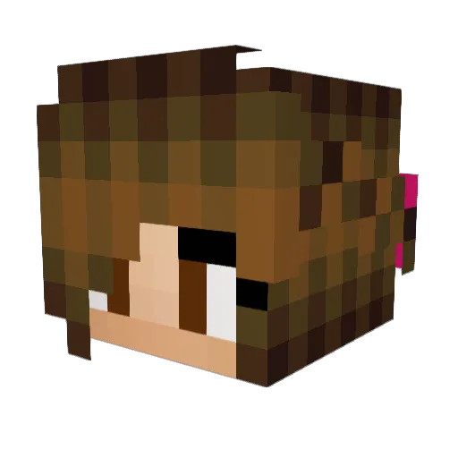 softrosepetal Minecraft avatar head, 3D render
