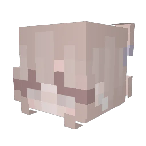 softslut Minecraft avatar head, 3D render