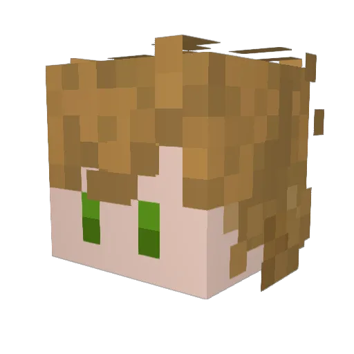 softsquiddo Minecraft avatar head, 3D render