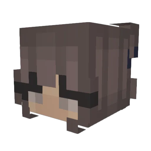 sofusofusofu Minecraft avatar head, 3D render