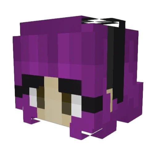 sofyawoods Minecraft avatar head, 3D render