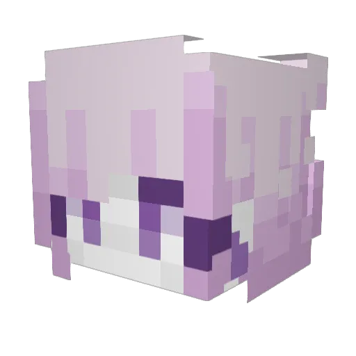 soggyduck Minecraft avatar head, 3D render