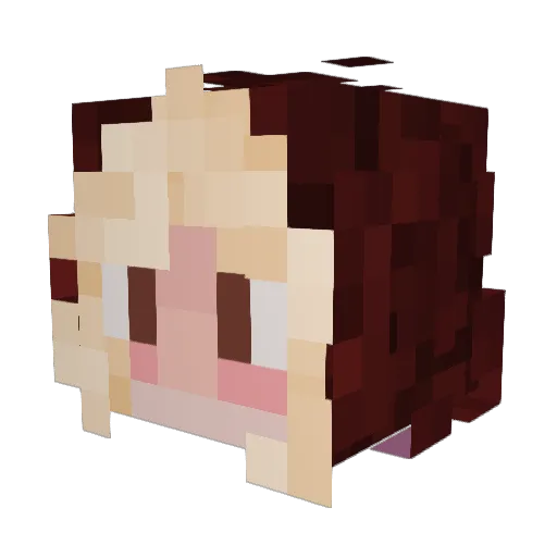 soggypogs Minecraft avatar head, 3D render