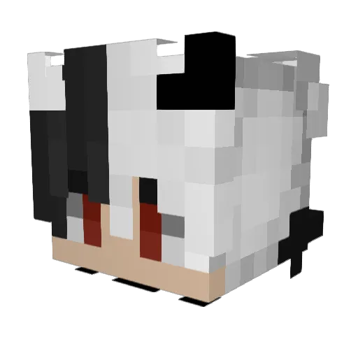 soh_what Minecraft avatar head, 3D render