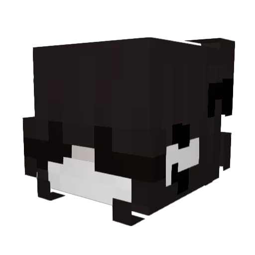 sohamii Minecraft avatar head, 3D render