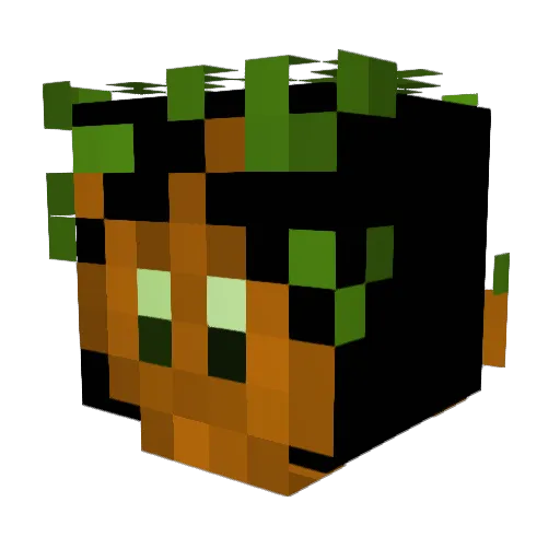 sohamloveshp Minecraft avatar head, 3D render