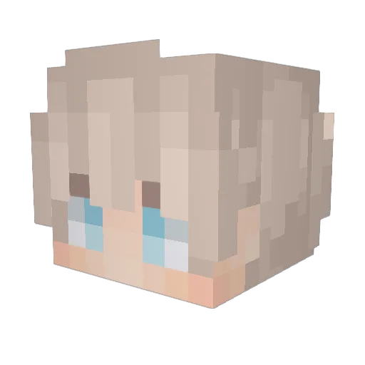 sohlenkufer Minecraft avatar head, 3D render