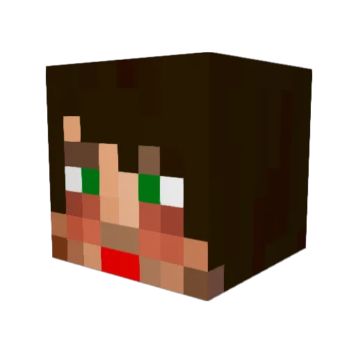 soignee Minecraft avatar head, 3D render