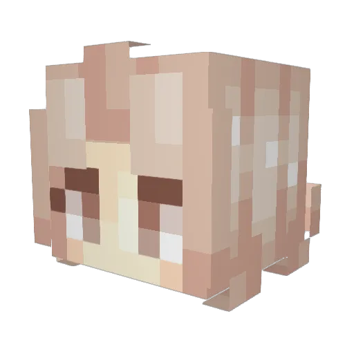 sokdzin Minecraft avatar head, 3D render