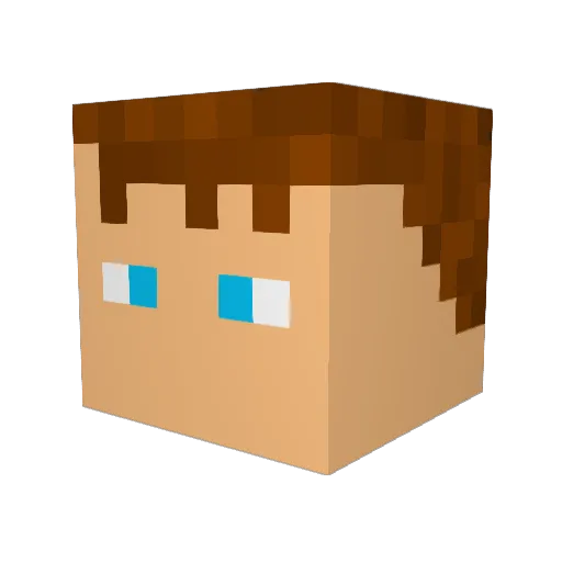 sokkaa Minecraft avatar head, 3D render