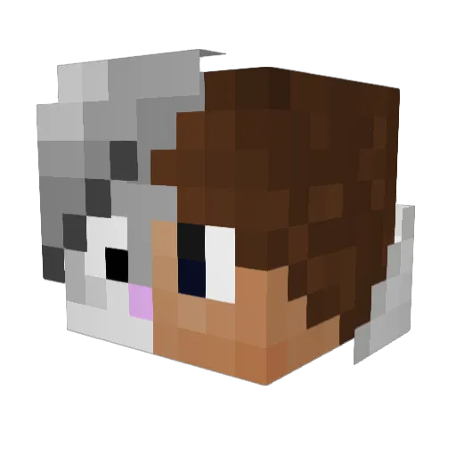 sokol71k Minecraft avatar head, 3D render