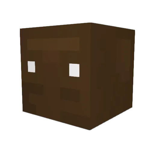 sokolol55 Minecraft avatar head, 3D render