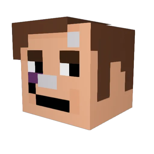 sokrat421 Minecraft avatar head, 3D render