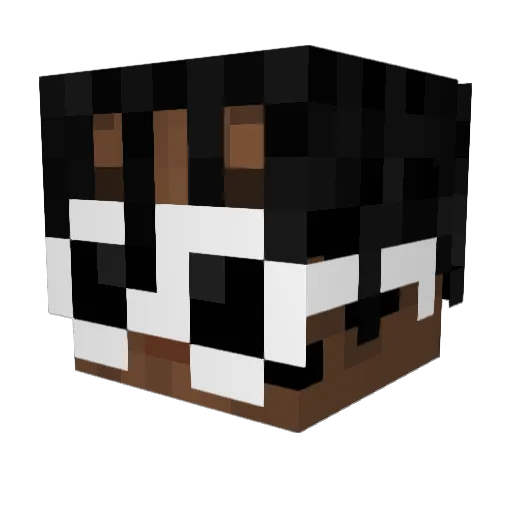 sokre23 Minecraft avatar head, 3D render