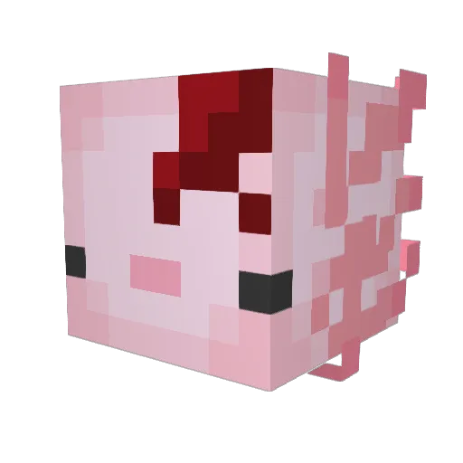 sokumulo Minecraft avatar head, 3D render