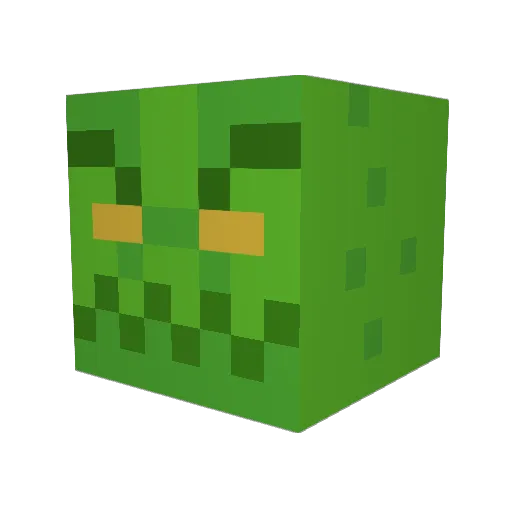 sol0204 Minecraft avatar head, 3D render