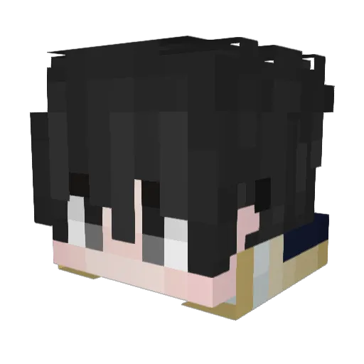 sol_0509 Minecraft avatar head, 3D render