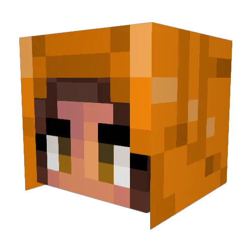 solamentecoco Minecraft avatar head, 3D render