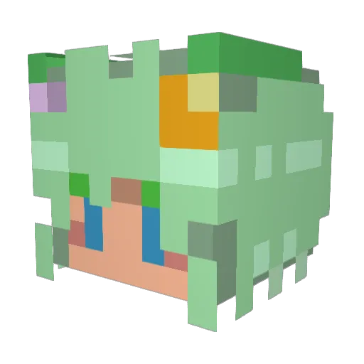 solan255 Minecraft avatar head, 3D render