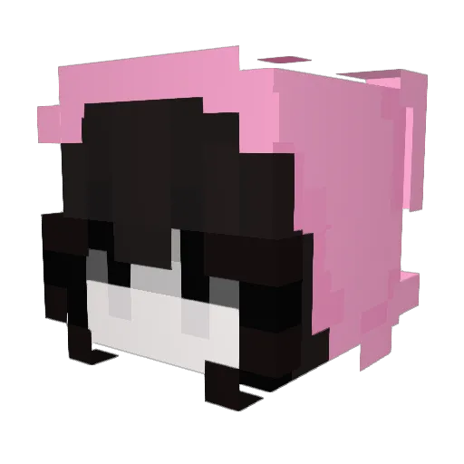 solana123456789 Minecraft avatar head, 3D render