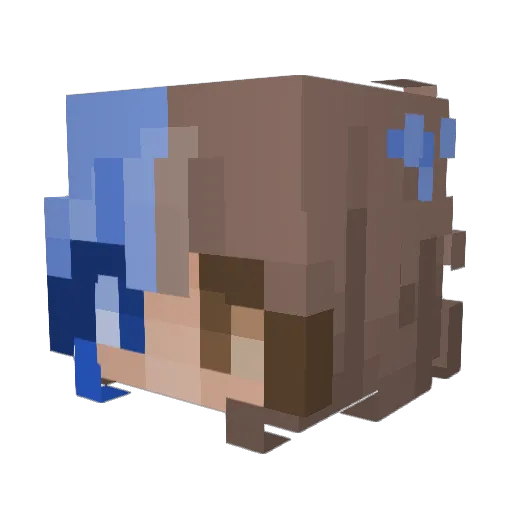 solanoow Minecraft avatar head, 3D render