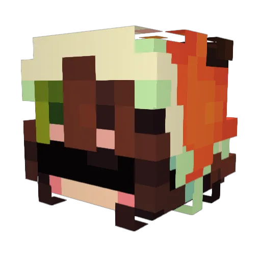 solar_0729 Minecraft avatar head, 3D render