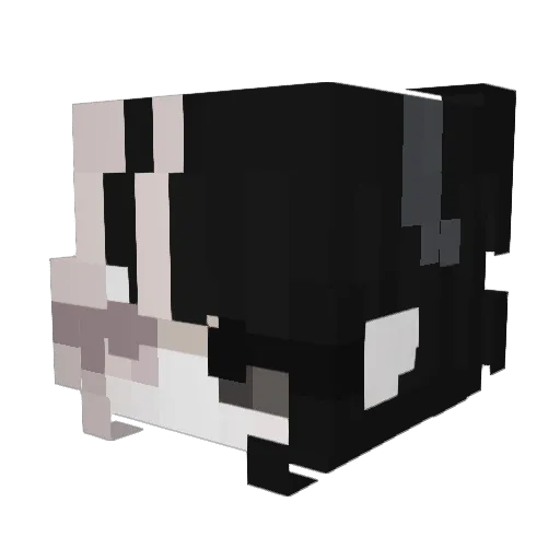 solar_arylide Minecraft avatar head, 3D render