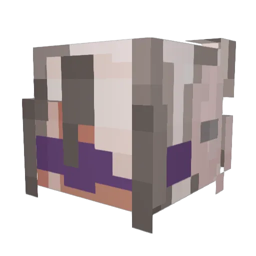 solarlan Minecraft avatar head, 3D render