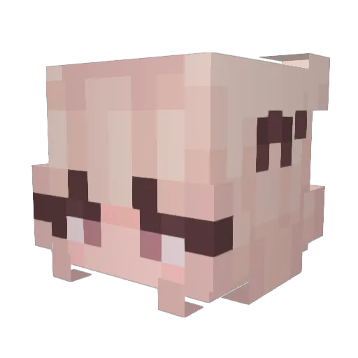 solarsims Minecraft avatar head, 3D render