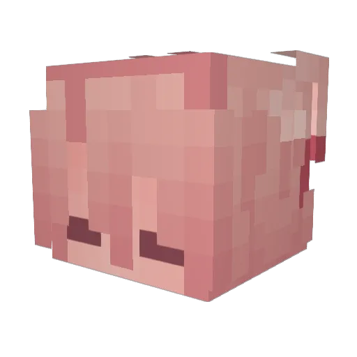 solarteeth Minecraft avatar head, 3D render