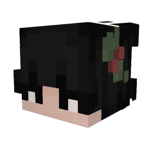 solarwavez Minecraft avatar head, 3D render