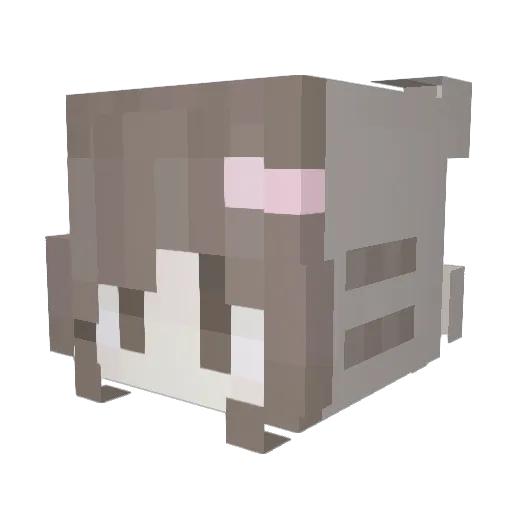solc Minecraft avatar head, 3D render