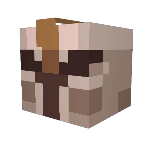 solcruel Minecraft avatar head, 3D render