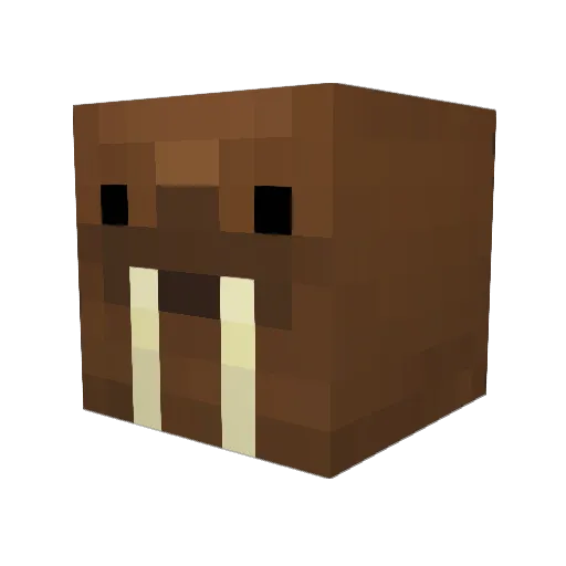 soldadocaido Minecraft avatar head, 3D render