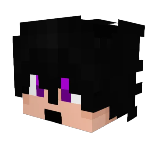 soldni Minecraft avatar head, 3D render