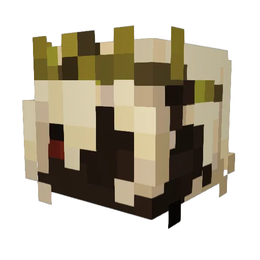 sole_hart Minecraft avatar head, 3D render