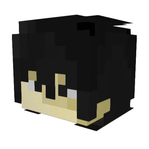 soleeSAGA Minecraft avatar head, 3D render