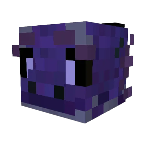 soleilan Minecraft avatar head, 3D render