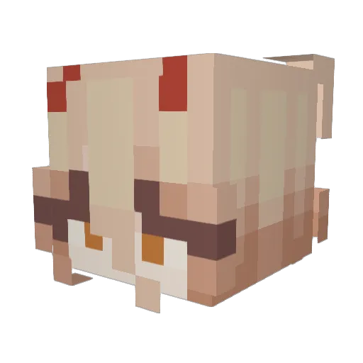 soleilcat Minecraft avatar head, 3D render