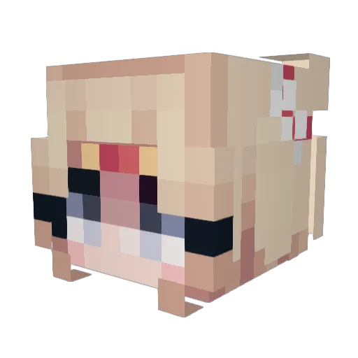 soleilmist Minecraft avatar head, 3D render