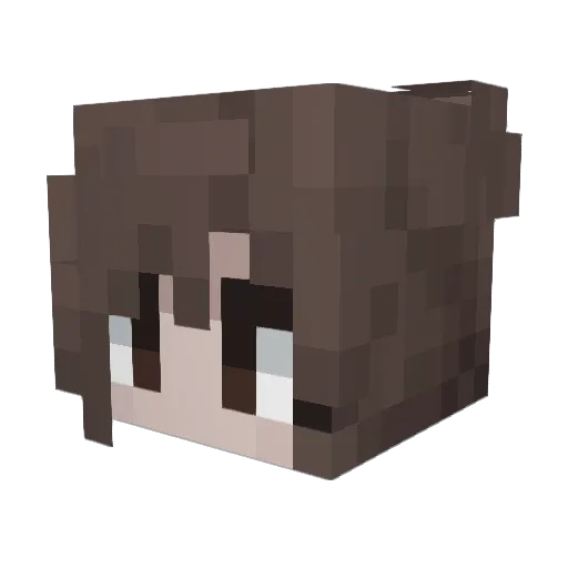 solenopsiss Minecraft avatar head, 3D render
